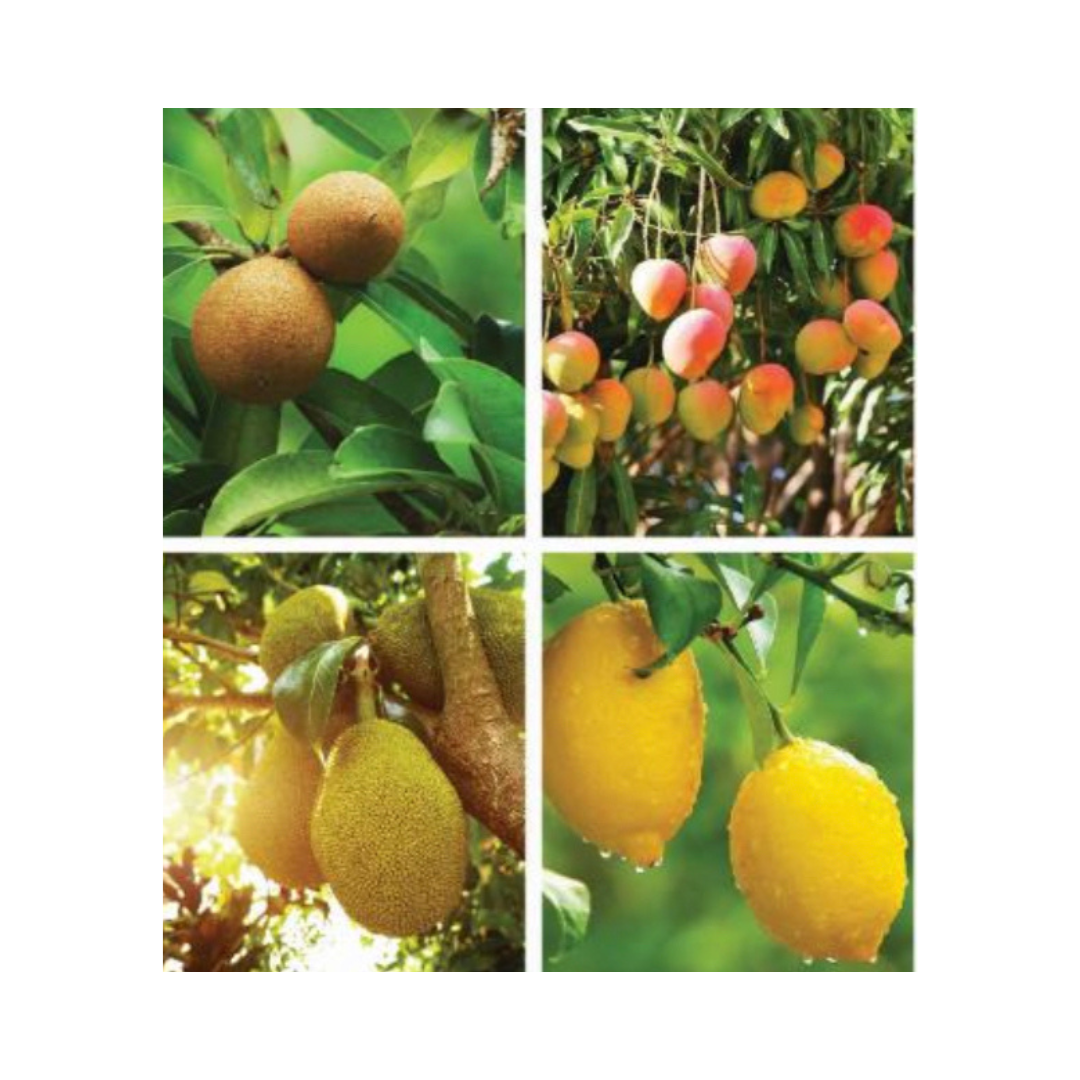 Untitled design (20)