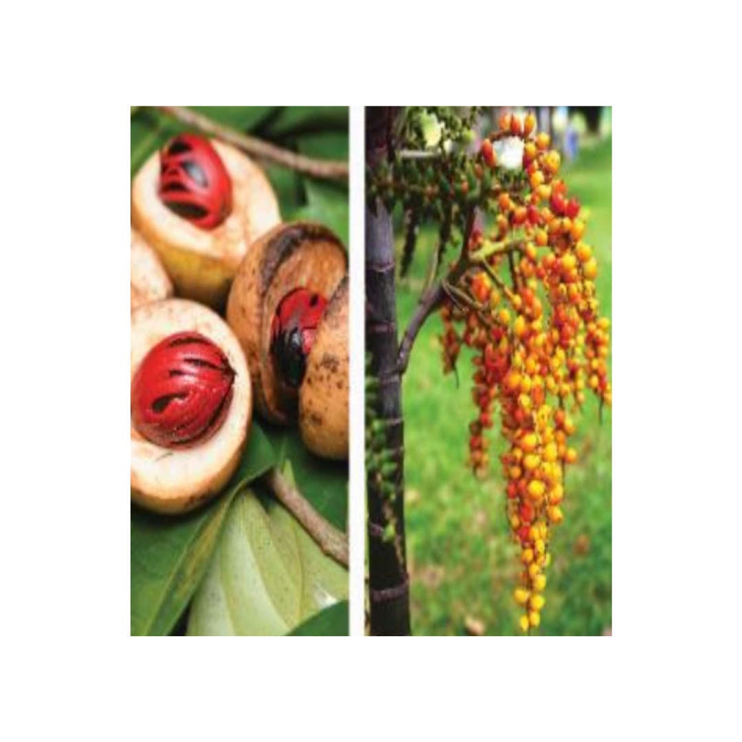 Untitled design (21)