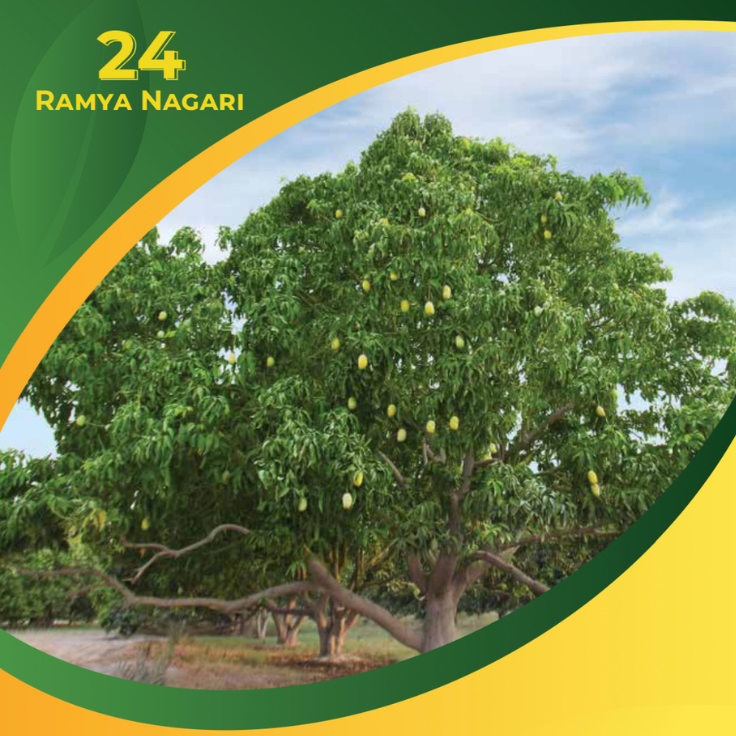 Untitled design (54)