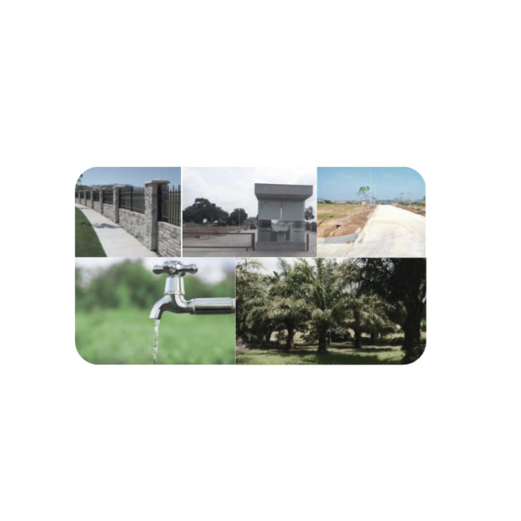 Untitled design (61)