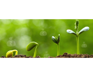 Untitled design (46)