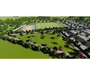 Untitled design (47)