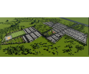 Untitled design (50)