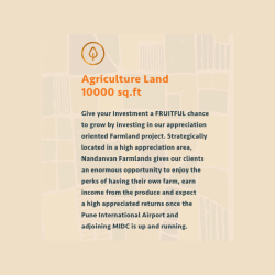 Untitled design (62)