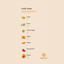 Untitled design (64)