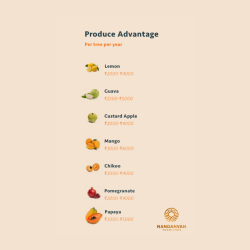 Untitled design (65)