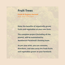 Untitled design (68)