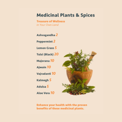 Untitled design (69)