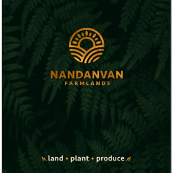 Untitled design (70)